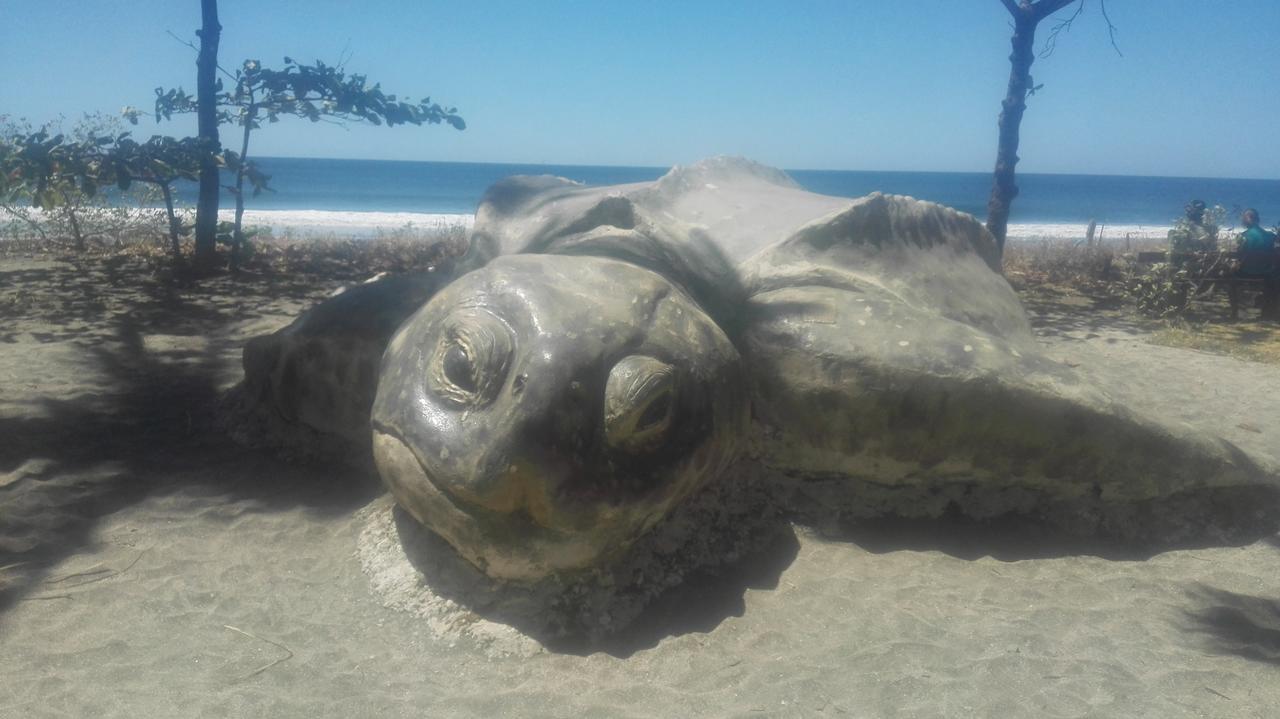 Las Cabinas De Veronique Venado Luaran gambar